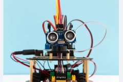 173994677_1171897693315588_201308266057348083_n